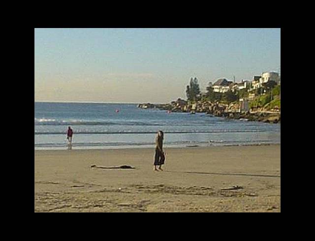 0 BEDROOM APARTMENT FOR SALE IN FISH HOEK